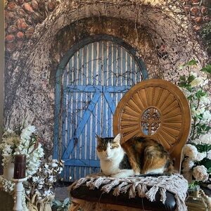 kate Backdrop/ Blue Castle or Corrahe Door/ 6 x 6